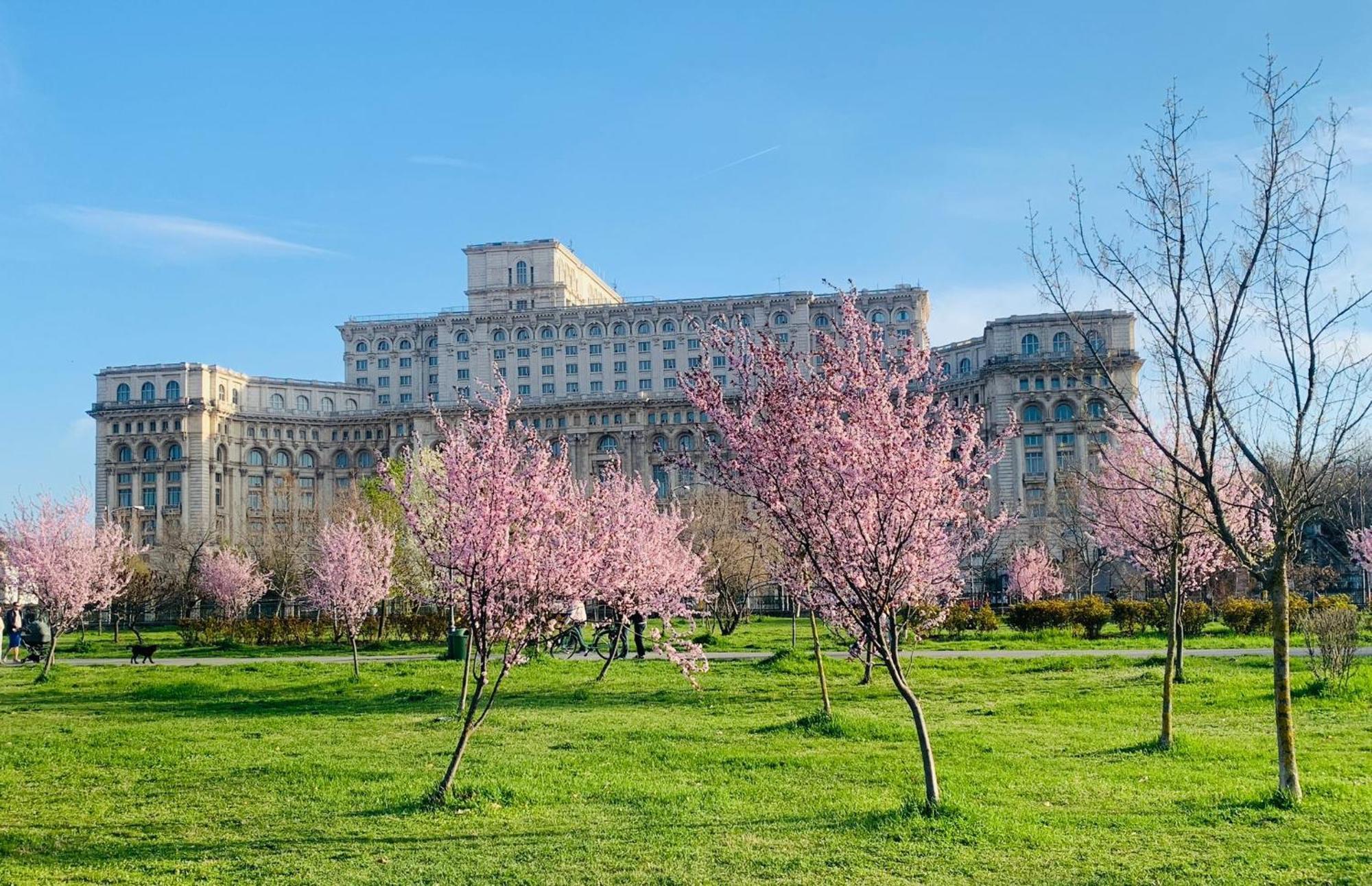 Chic Apartment Piata Constitutiei - View From The Balcony To The Palace Of Parliament Bucarest Extérieur photo